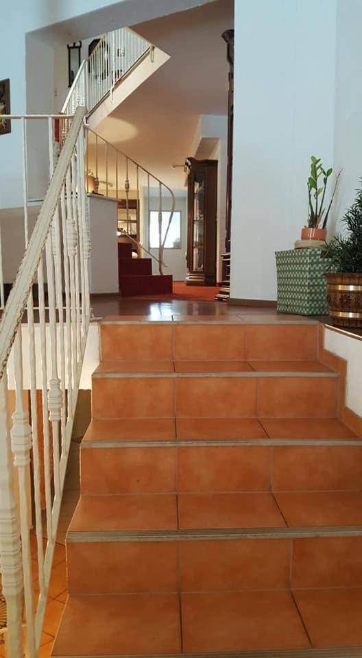 Oeko-Landhotel Basler Hof Lauterbach  Dış mekan fotoğraf